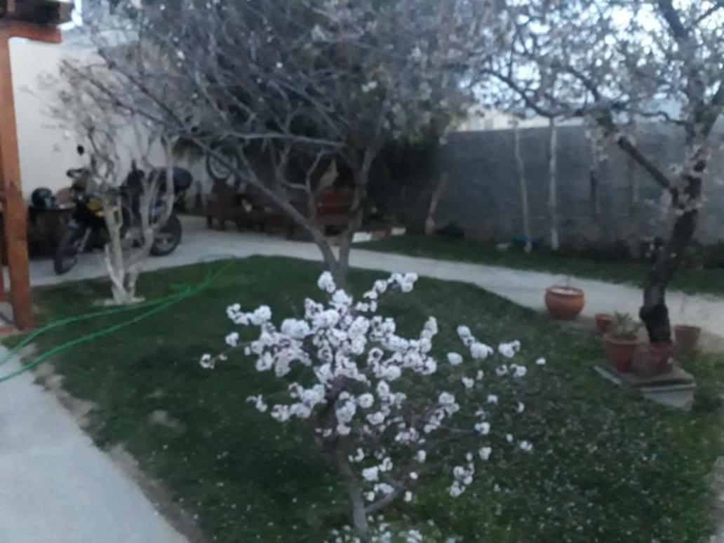 Rada Tilly Apart Hotel المظهر الخارجي الصورة